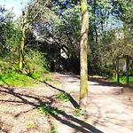 Wasi Compostela 山林小屋 圣地亚哥－德孔波斯特拉